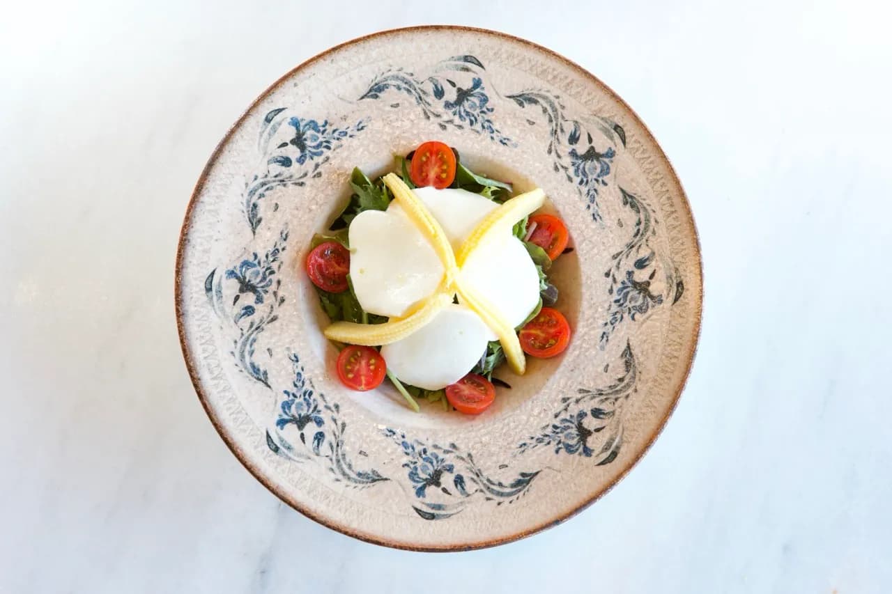 VENTO SALATA